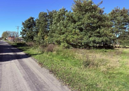 działka na sprzedaż - Parzęczew, Mrożewice