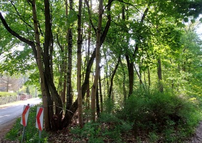 działka na sprzedaż - Zgierz (gw), Jedlicze B