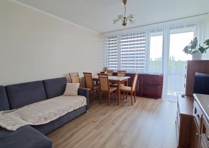 mieszkanie na wynajem - Łódź, Polesie, Karolew