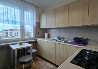 mieszkanie na wynajem - Łódź, Polesie, Karolew